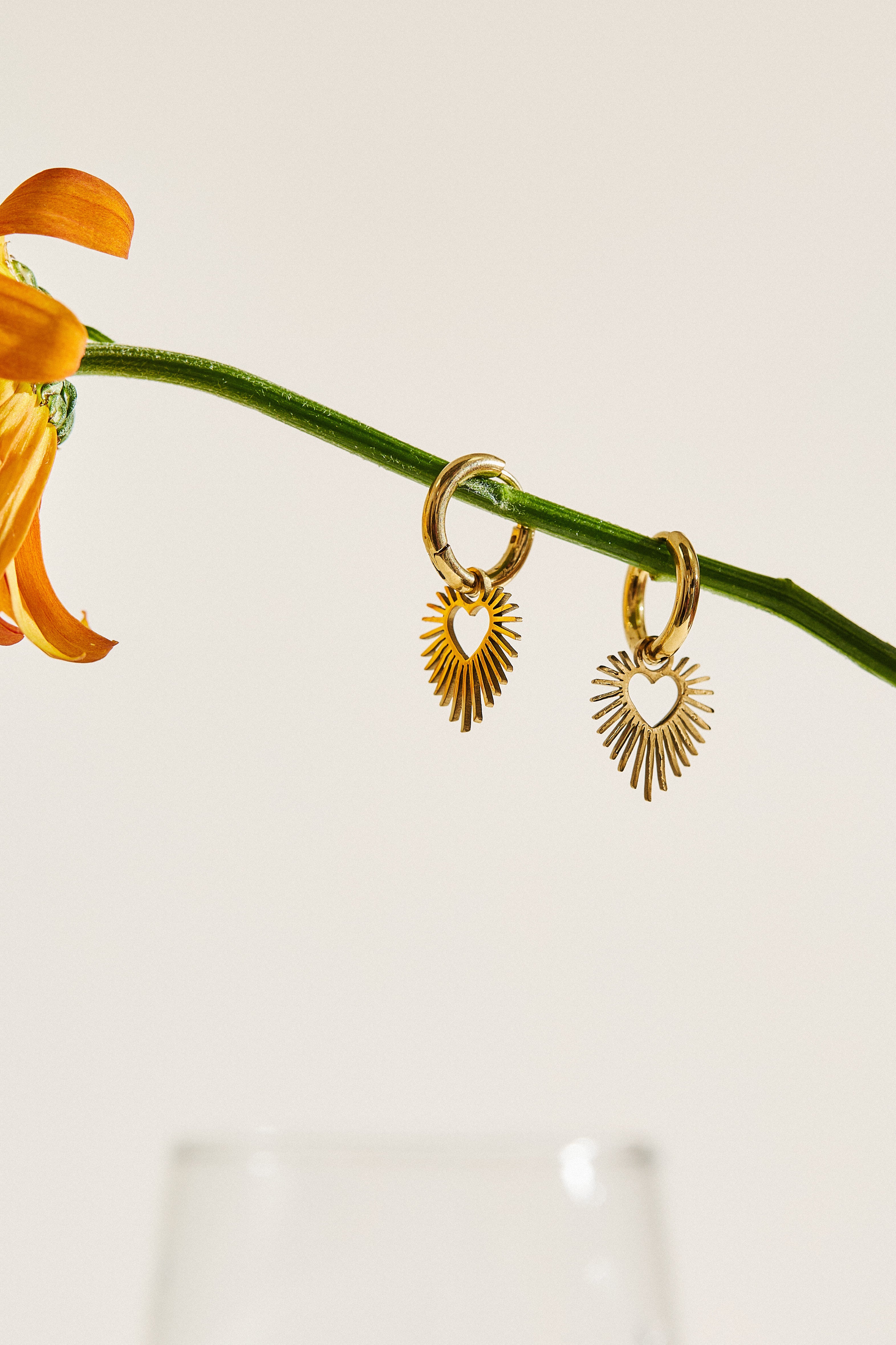 Boucles d'oreilles Raya